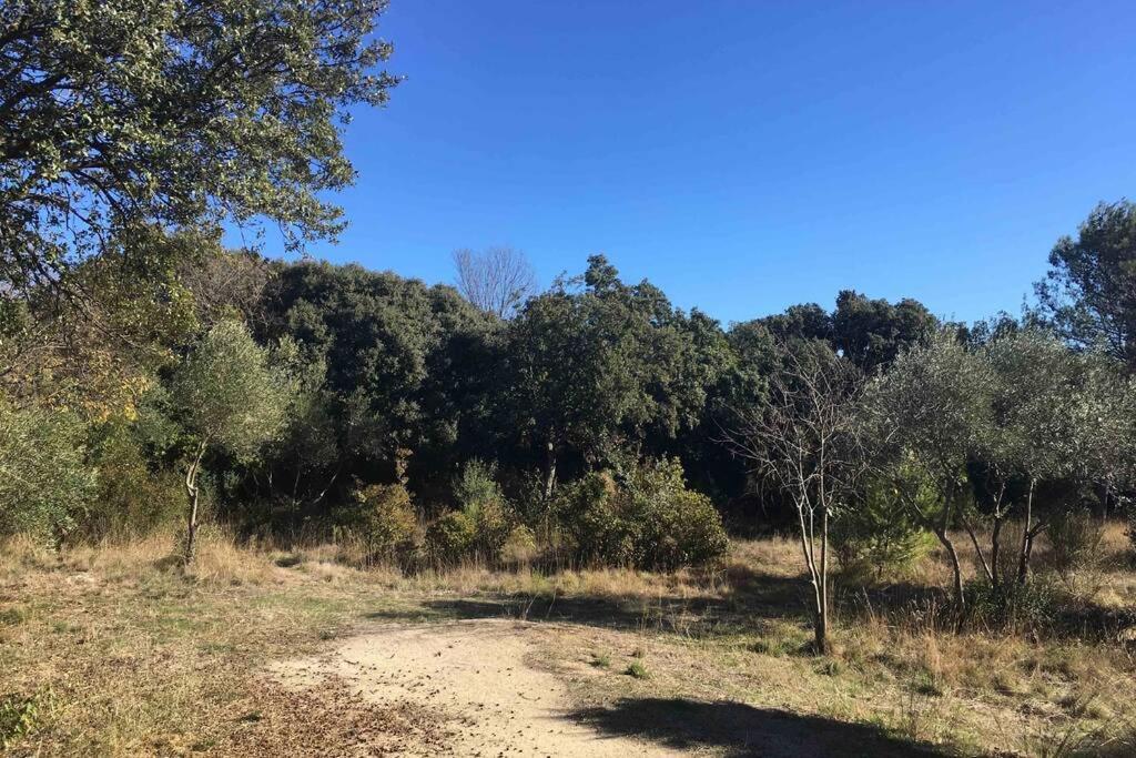Charmant Mazet Nîmes Kültér fotó